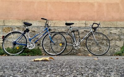 La ViaRhôna à vélo : à la découverte des berges du Rhône