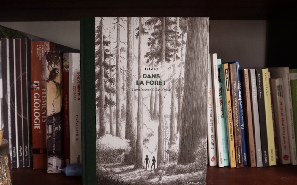 Capsules littéraires : Dans la forêt / Jean Hegland, illustrations Lomig -  Médiathèque de Saint Savournin